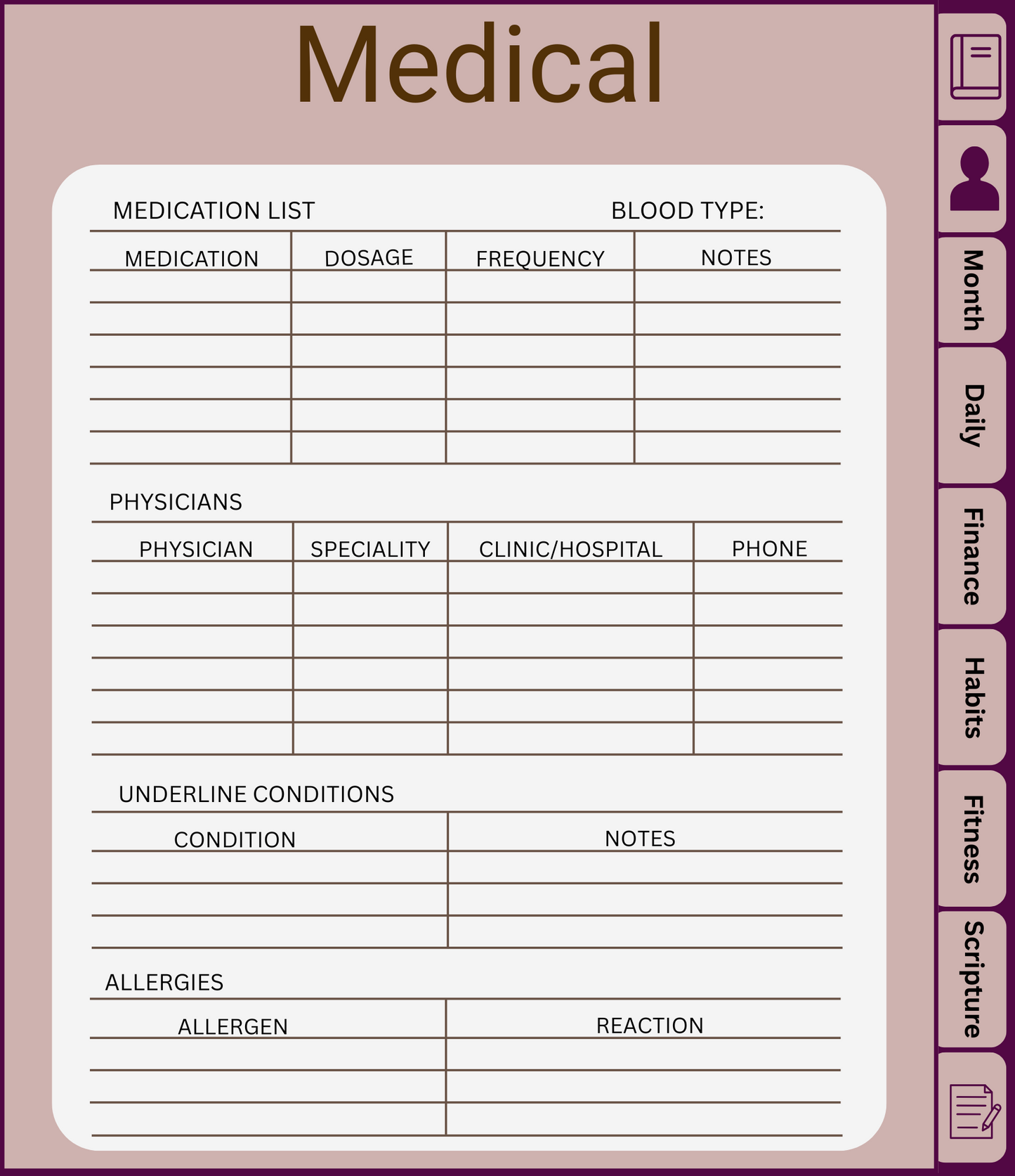 Certified Boss Digital Planner Version 1