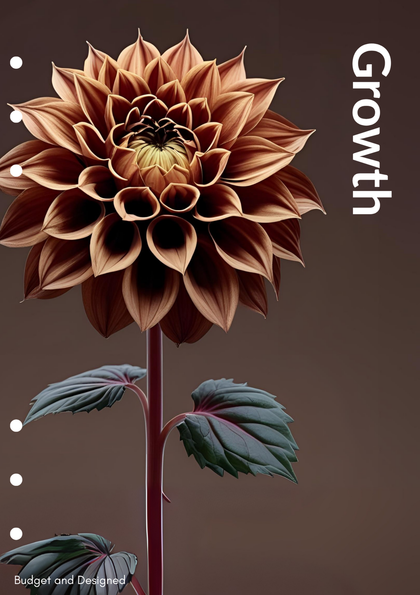 A5 Floral Dashboard Set
