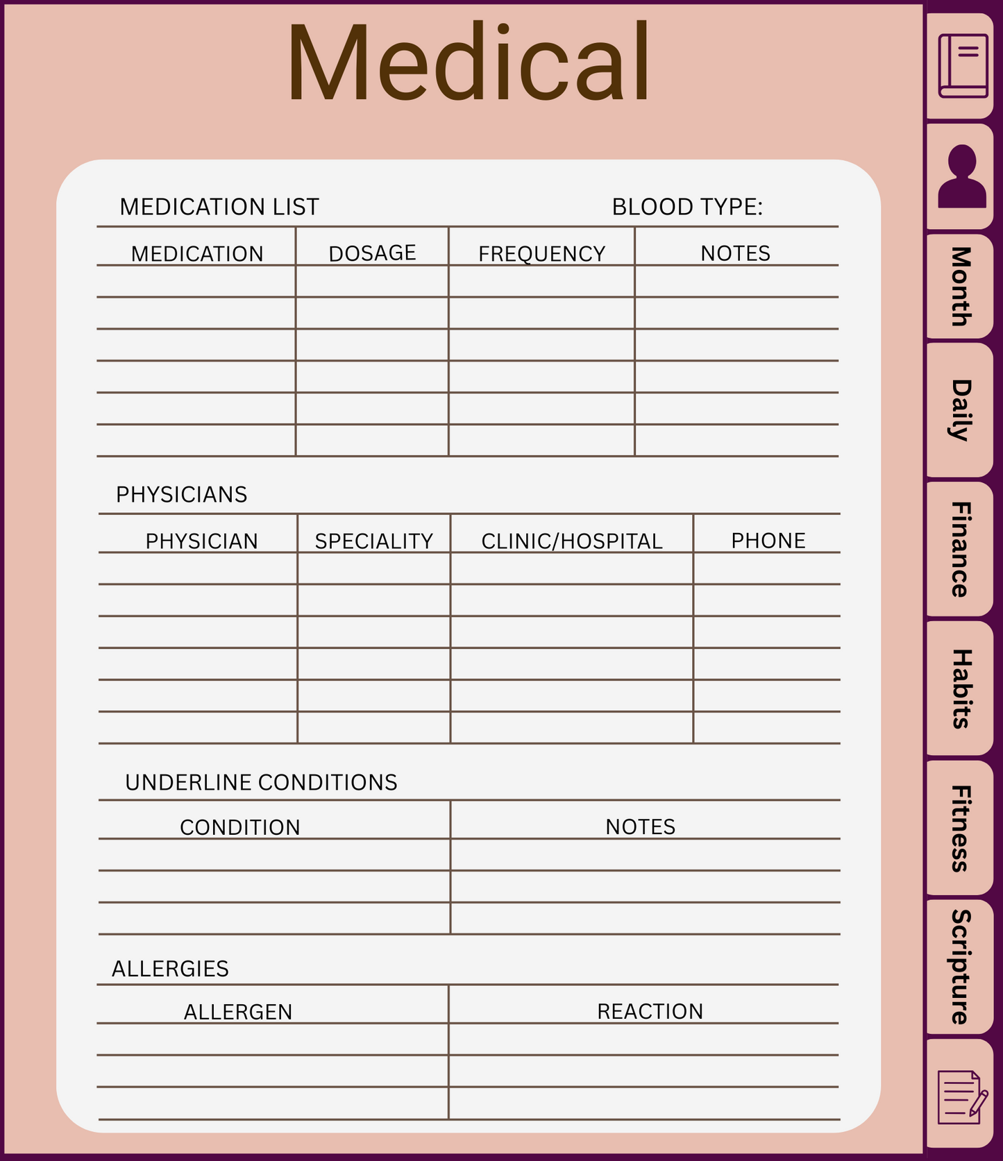 Certified Boss Digital Planner Version 3